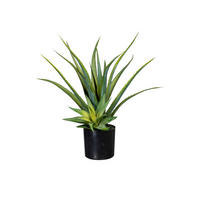 KUNSTPFLANZE Aloe Vera 48 cm  - Schwarz/Grün, Design, Kunststoff (48cm) - P & B