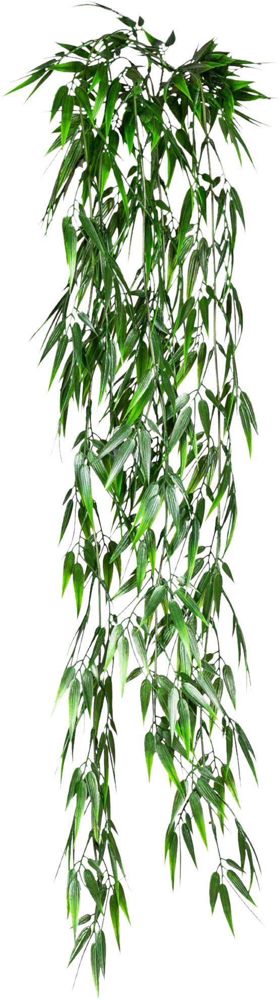 KUNSTPFLANZE Bambus 90 cm  - Grün, Design, Kunststoff (90cm) - P & B