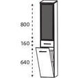 HOCHSCHRANK 30,0/160,0/30,0 cm  - Eichefarben/Anthrazit, KONVENTIONELL, Glas/Holzwerkstoff (30,0/160,0/30,0cm) - Dieter Knoll