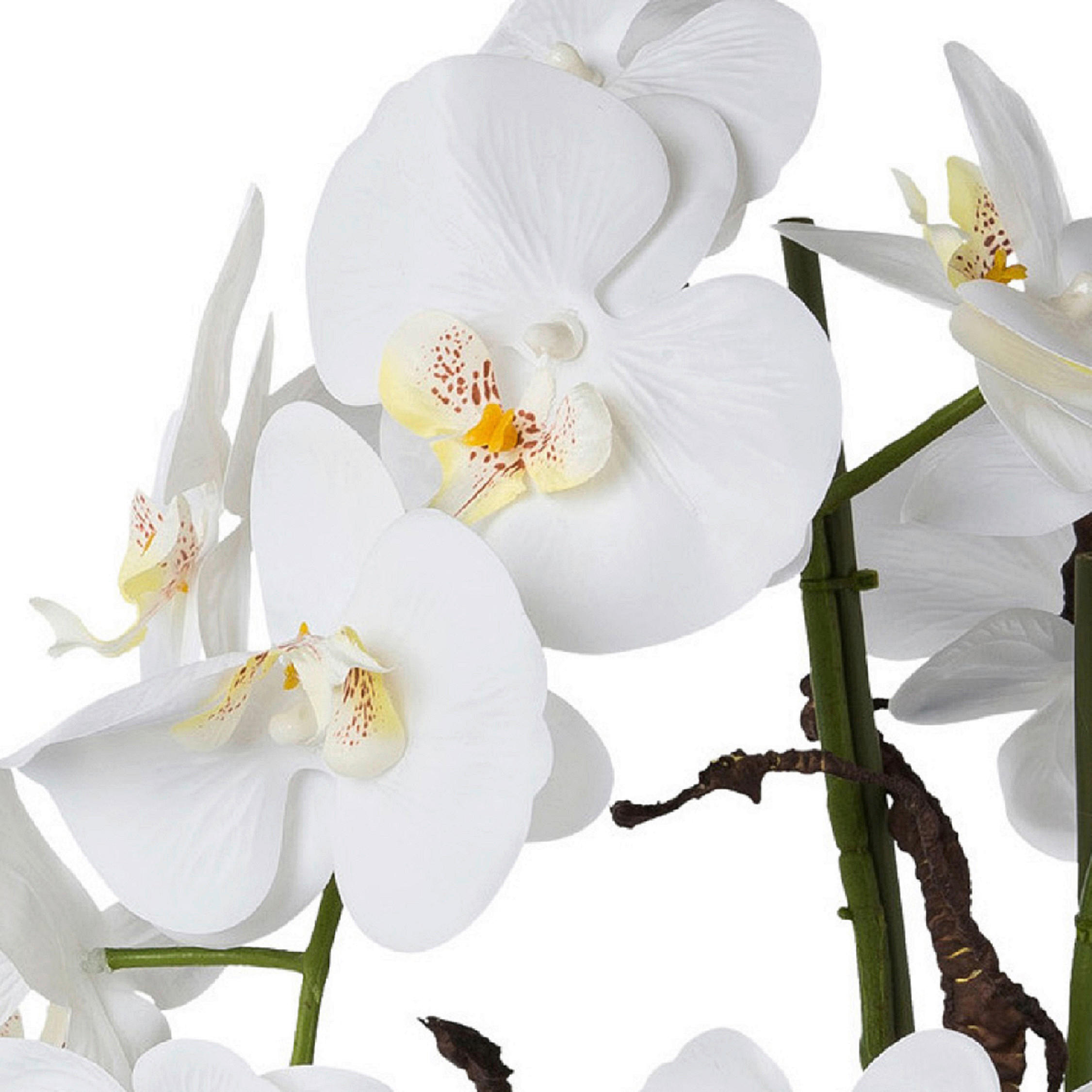 KUNSTPFLANZE Orchidee 55 cm  - Weiß/Grün, Design, Keramik/Kunststoff (55cm) - P & B