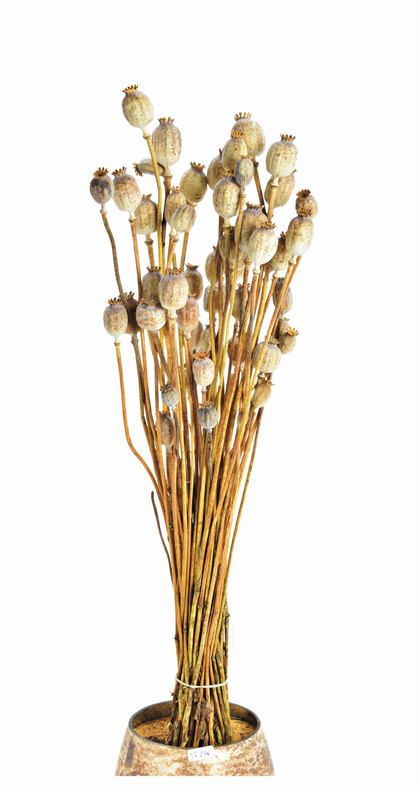 TROCKENBLUMENSTRAUß  - Naturfarben, Basics, Naturmaterialien (50cm)