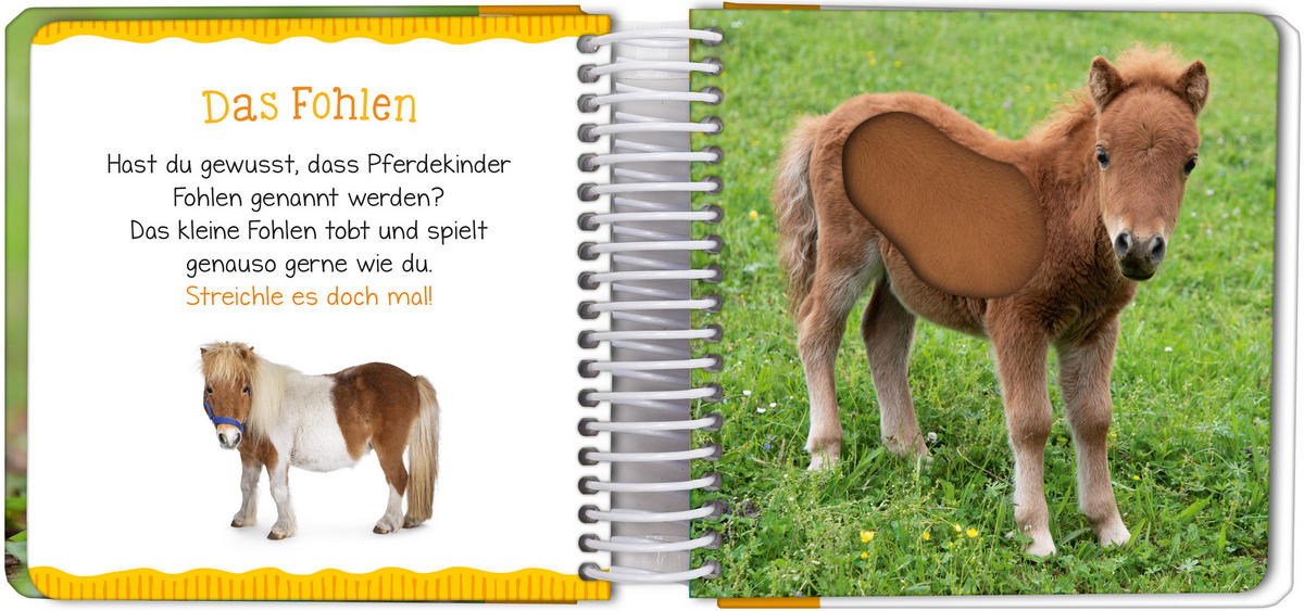 BILDERBUCH - Basics (16,6/19/4,0cm)