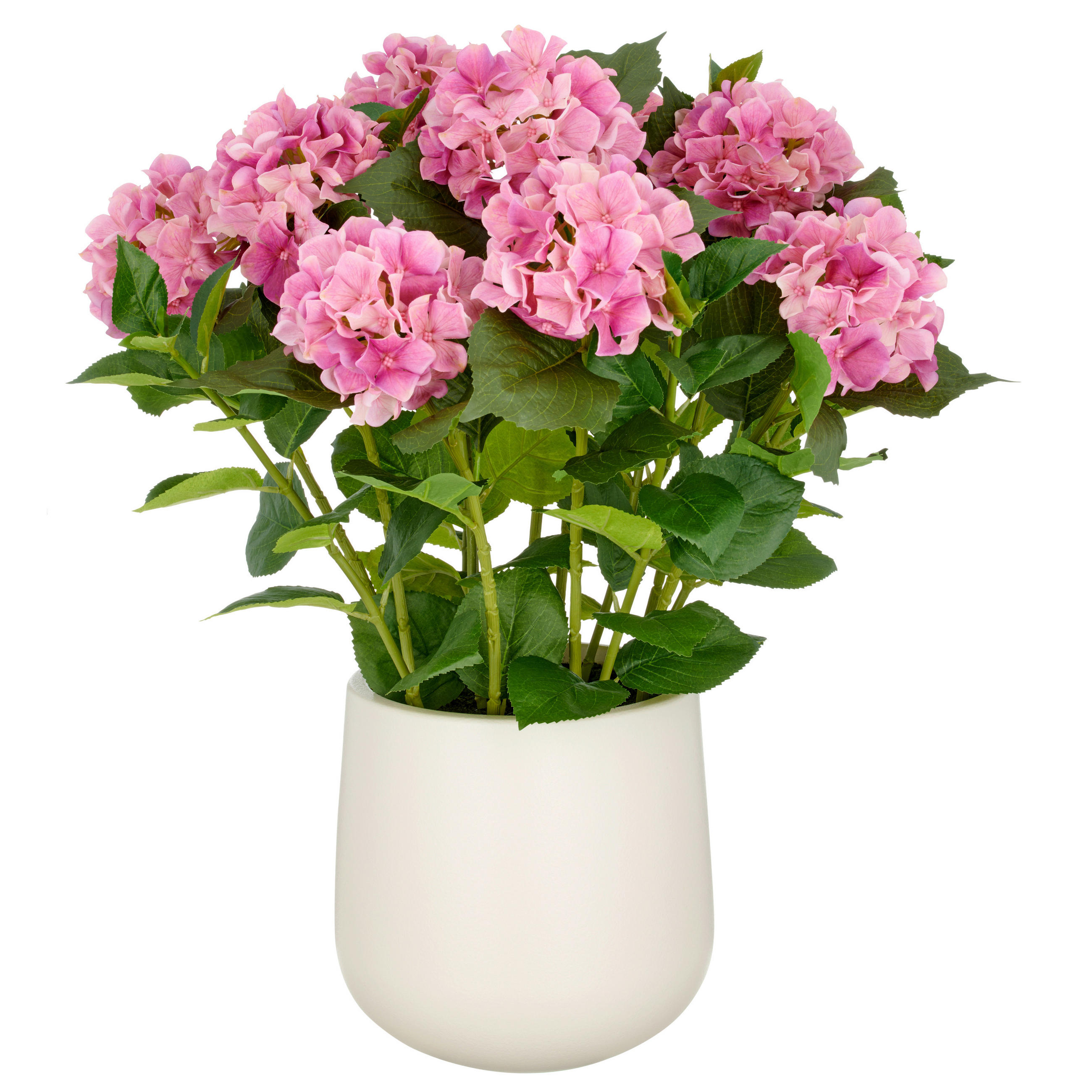 KUNSTPFLANZE Hortensie  - Pink/Creme, Basics, Kunststoff (27/77/27cm)