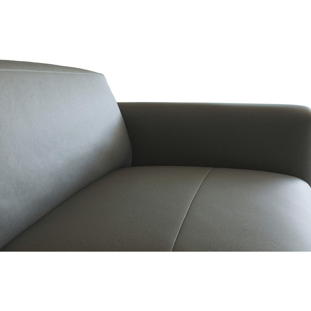 Thumbnail - Livetastic 3-Sitzer-Sofa, Dunkelgrau, Leder, Echtleder, Color-Finish-Leder, Birke, vollmassiv, 252x73x102 cm, Reach, Gol...