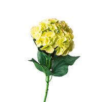 HORTENSIE - verde deschis/verde, Basics, plastic (40cm)