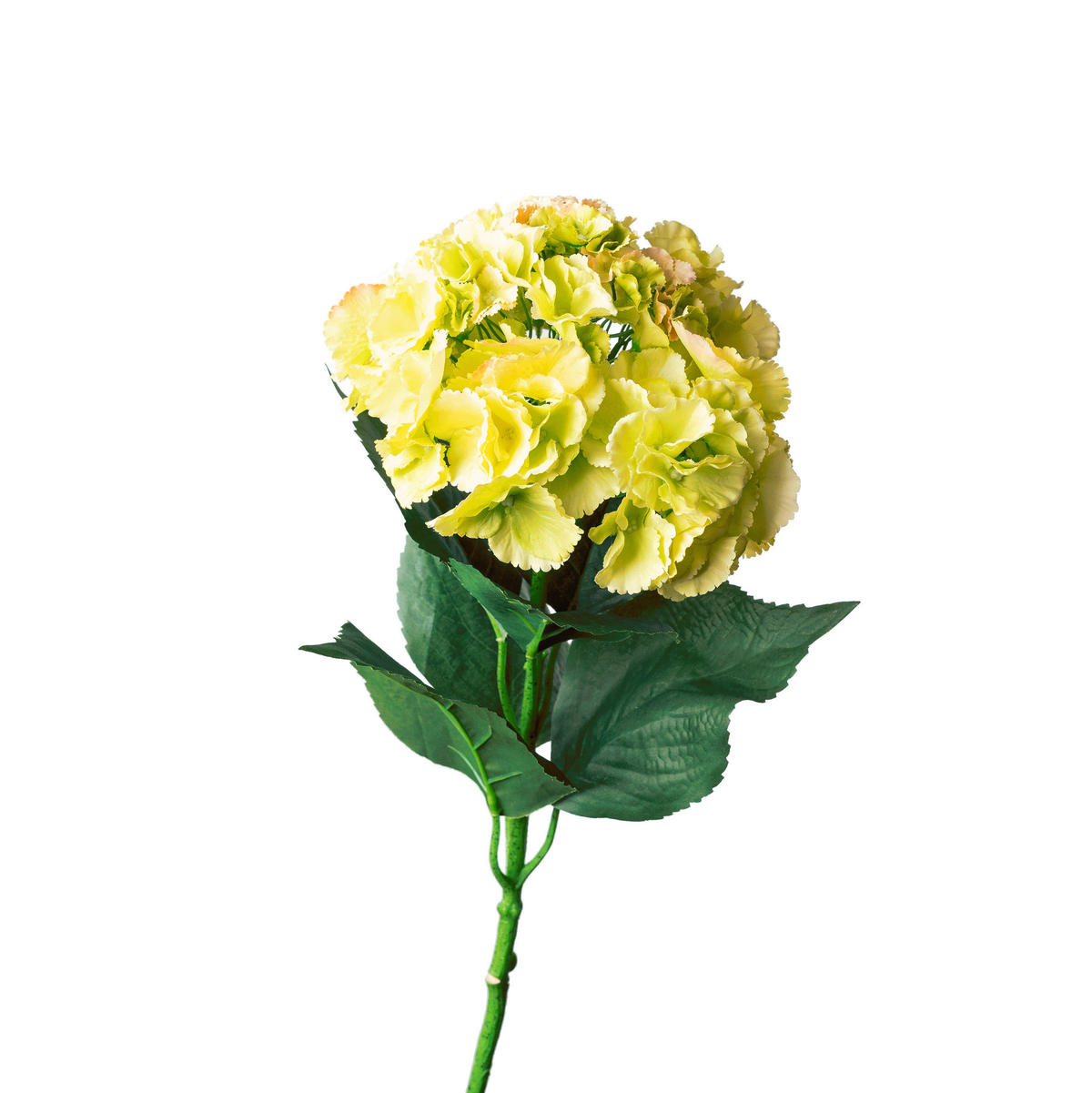 HORTENSIE - verde deschis/verde, Basics, plastic (40cm)
