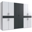 DREHTÜRENSCHRANK  in Graphitfarben, Weiß  - Schwarz/Graphitfarben, KONVENTIONELL, Holzwerkstoff/Kunststoff (270/208/58cm) - Carryhome