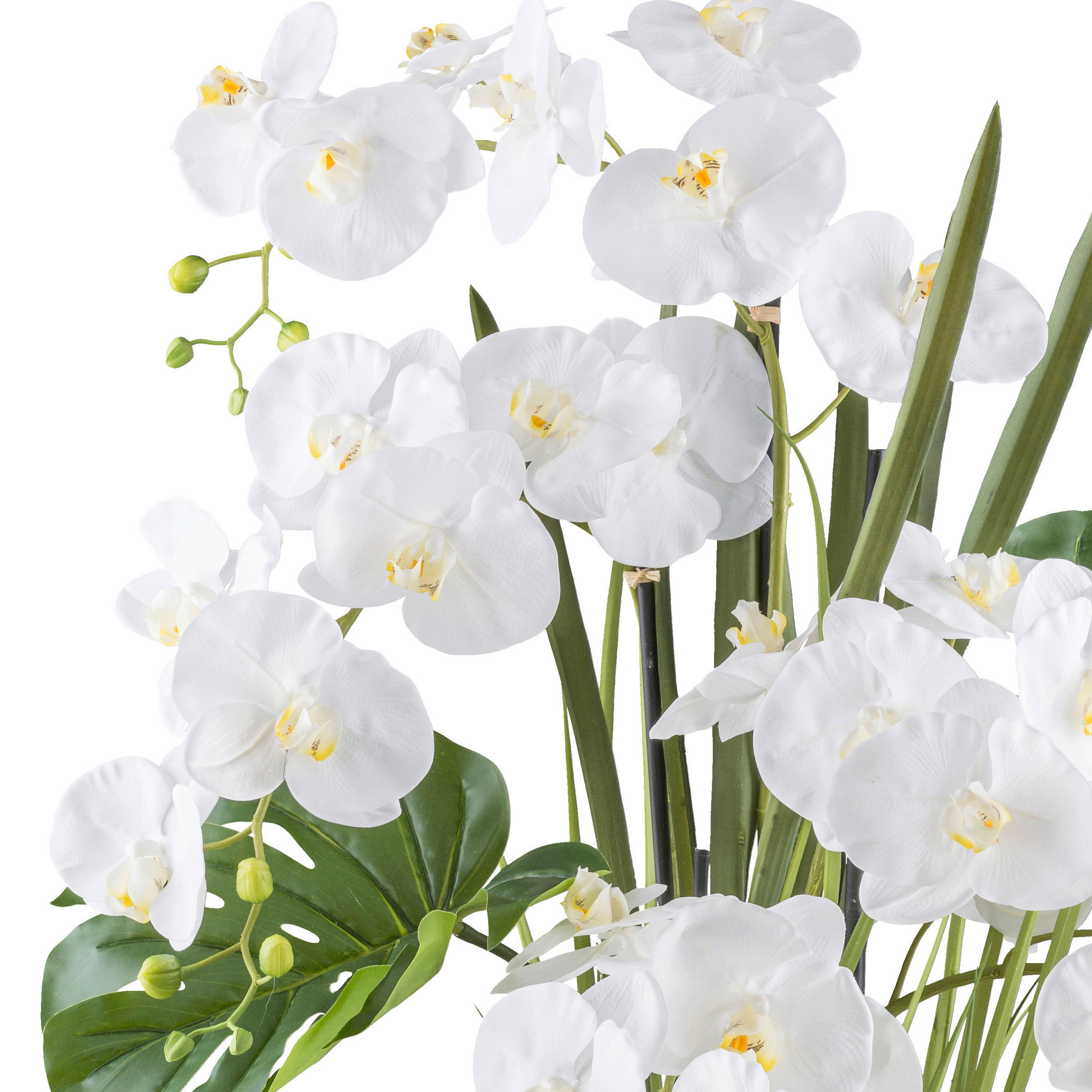 KUNSTPFLANZE Orchidee 110 cm  - Creme/Weiß, Design, Kunststoff (110cm) - P & B