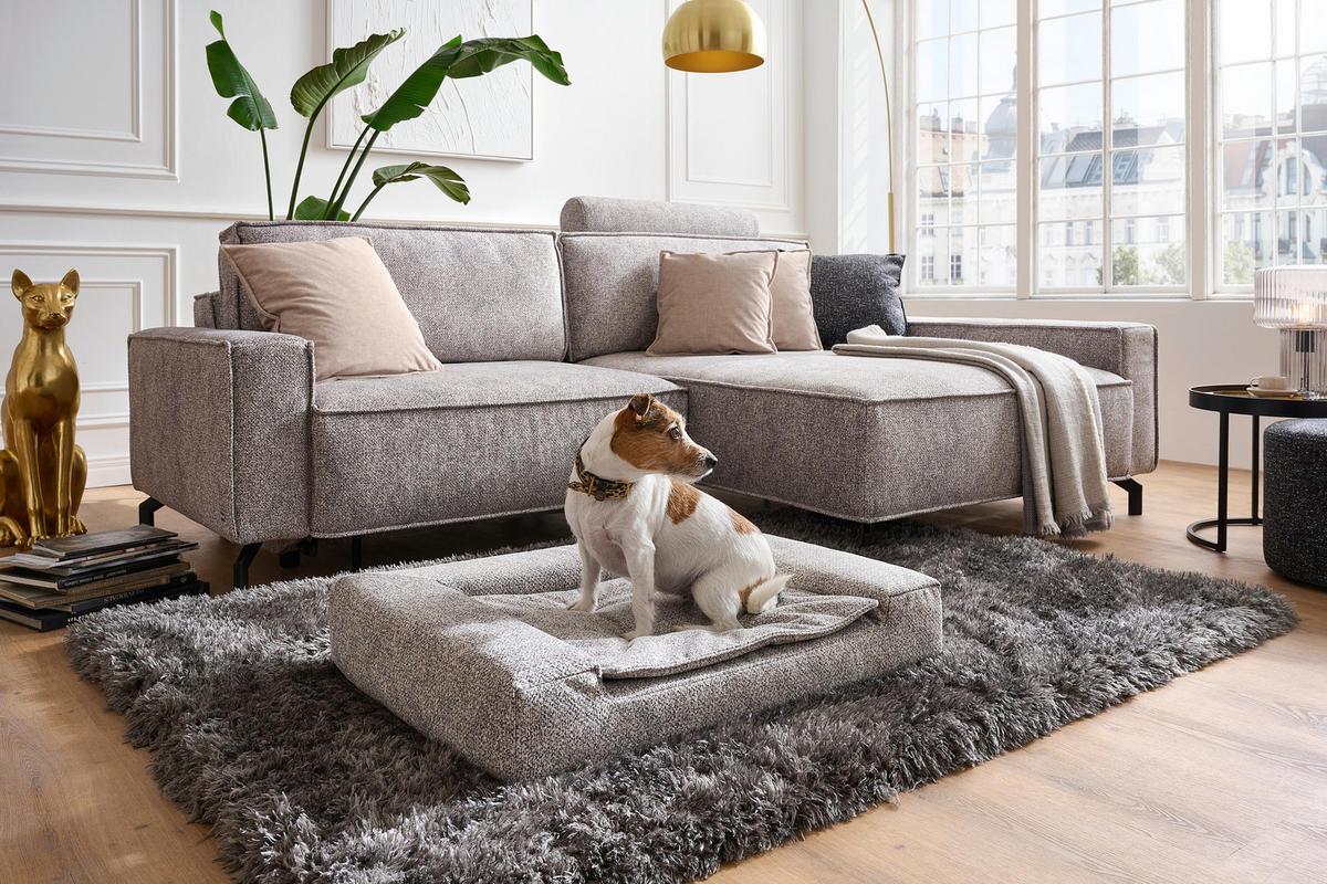 HUNDEBETT - Hellgrau, KONVENTIONELL, Textil (80/15/60cm) - Sedda