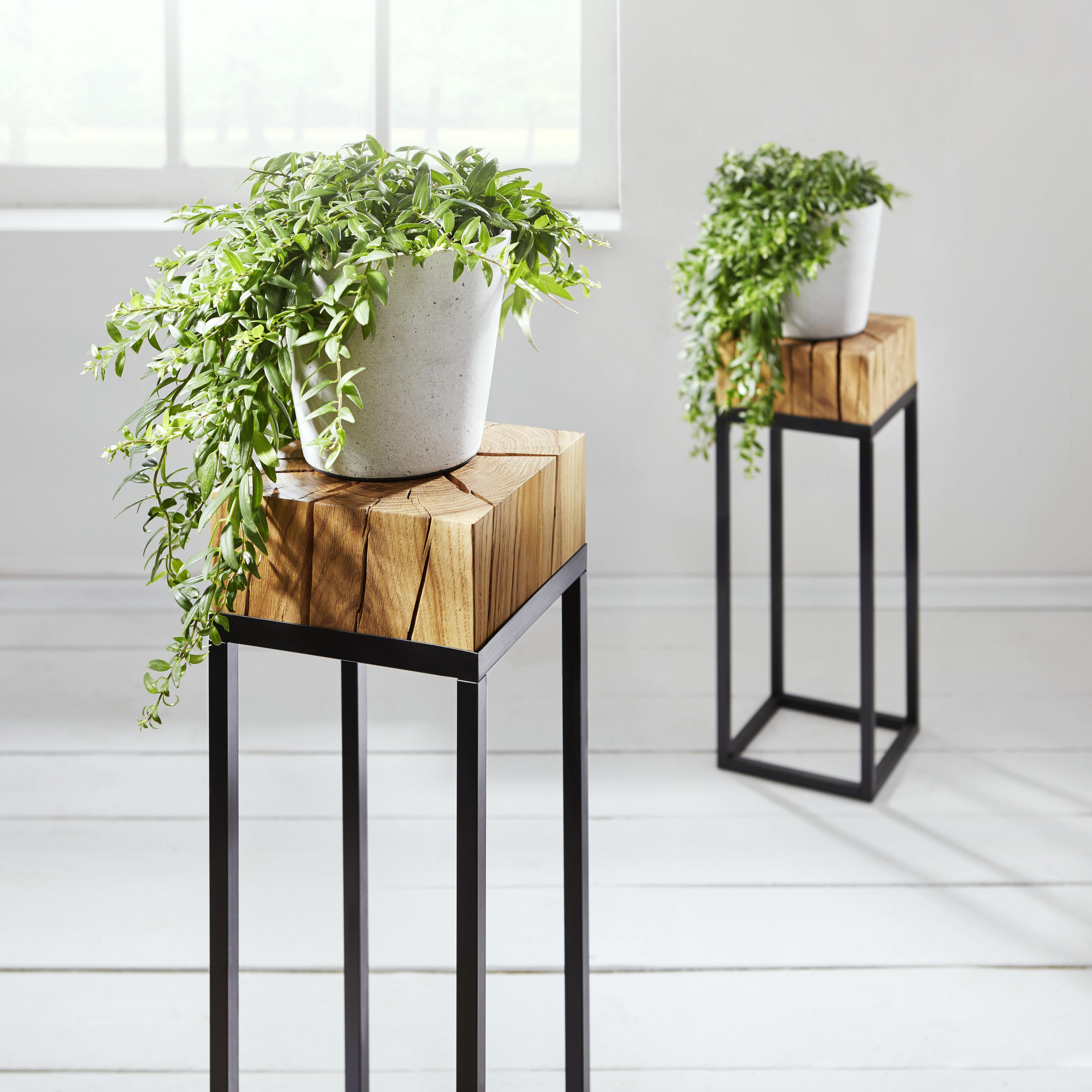 STOJAN NA KVETY, dub, čierna, farba duba - čierna/farba duba, Natur, kov/drevo (25/25/72cm) - Linea Natura