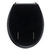 WC-SITZ Schwarz  - Schwarz, Basics, Kunststoff (45/36/5cm)