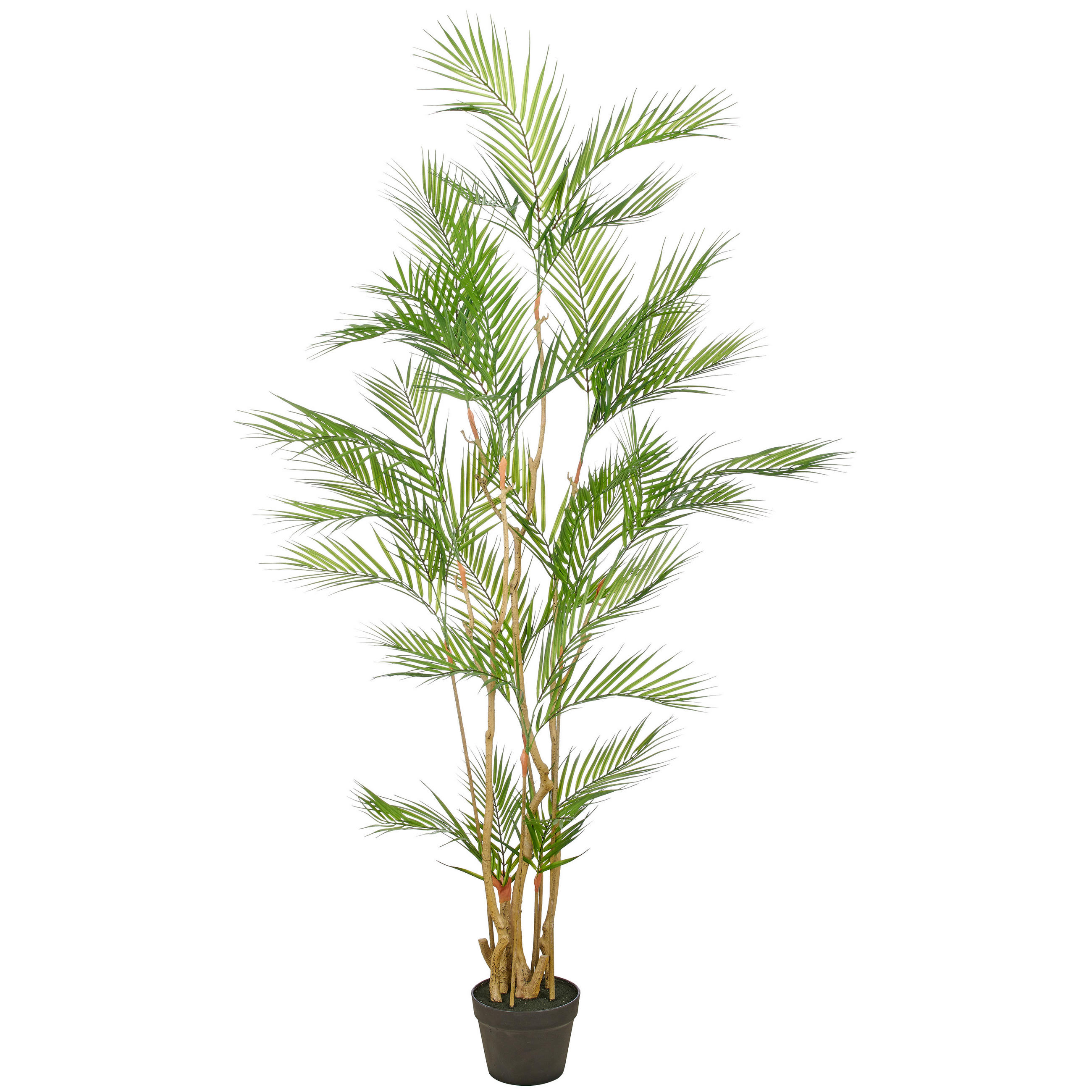 KUNSTPFLANZE Palme 160 cm  - Schwarz/Braun, Basics, Kunststoff (160cm)