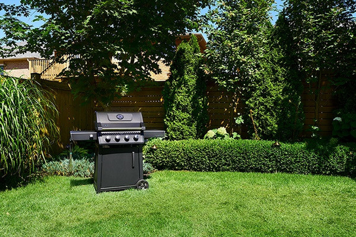 PLINSKI ROŠTILJ F425DPK-1  crna  - crna, Basics, metal (64/132cm) - Napoleon