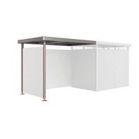 SEITENDACH 282/222/195 cm  - Grau, Design, Metall (282/222/195cm) - Biohort