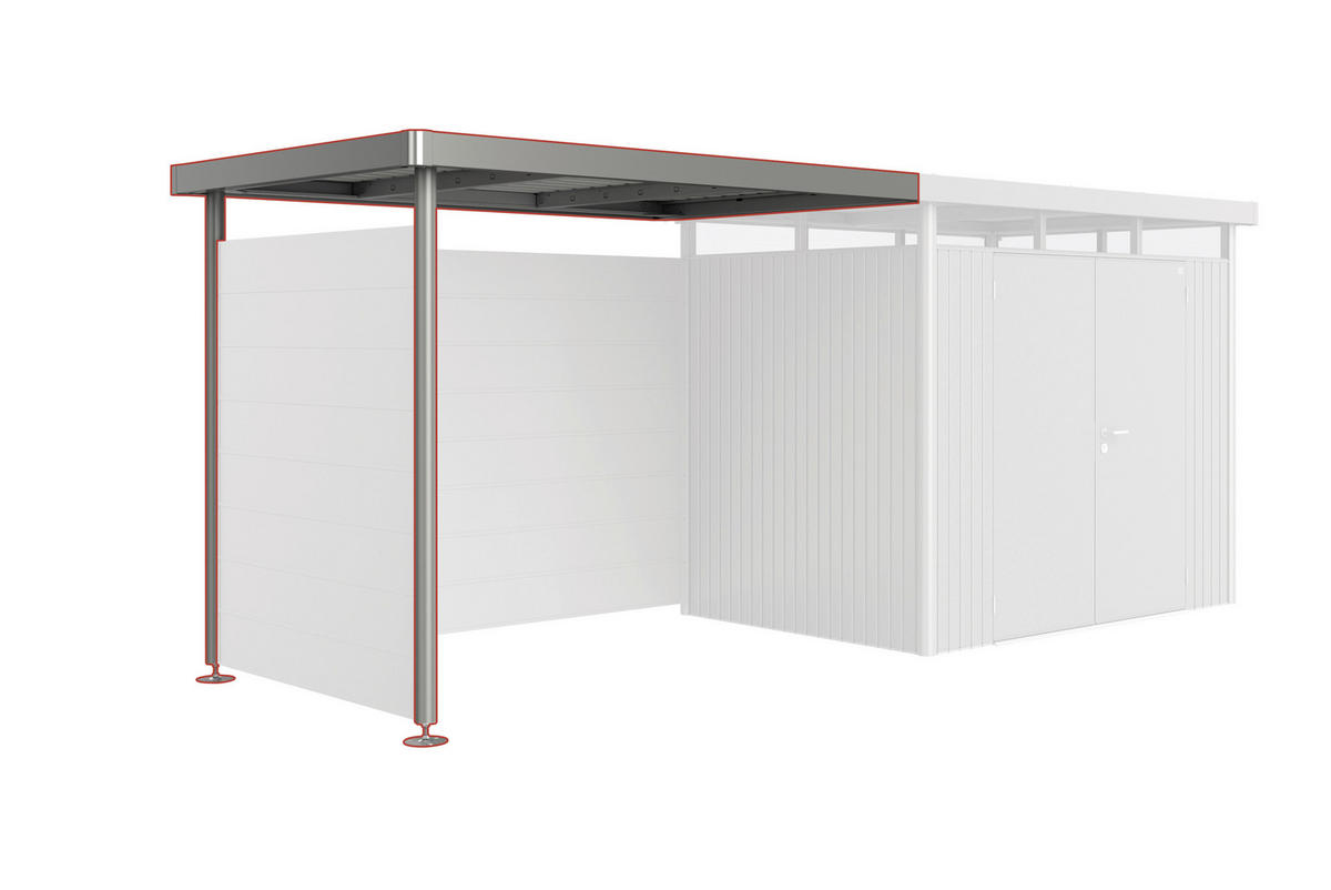 SEITENDACH 282/222/195 cm  - Grau, Design, Metall (282/222/195cm) - Biohort