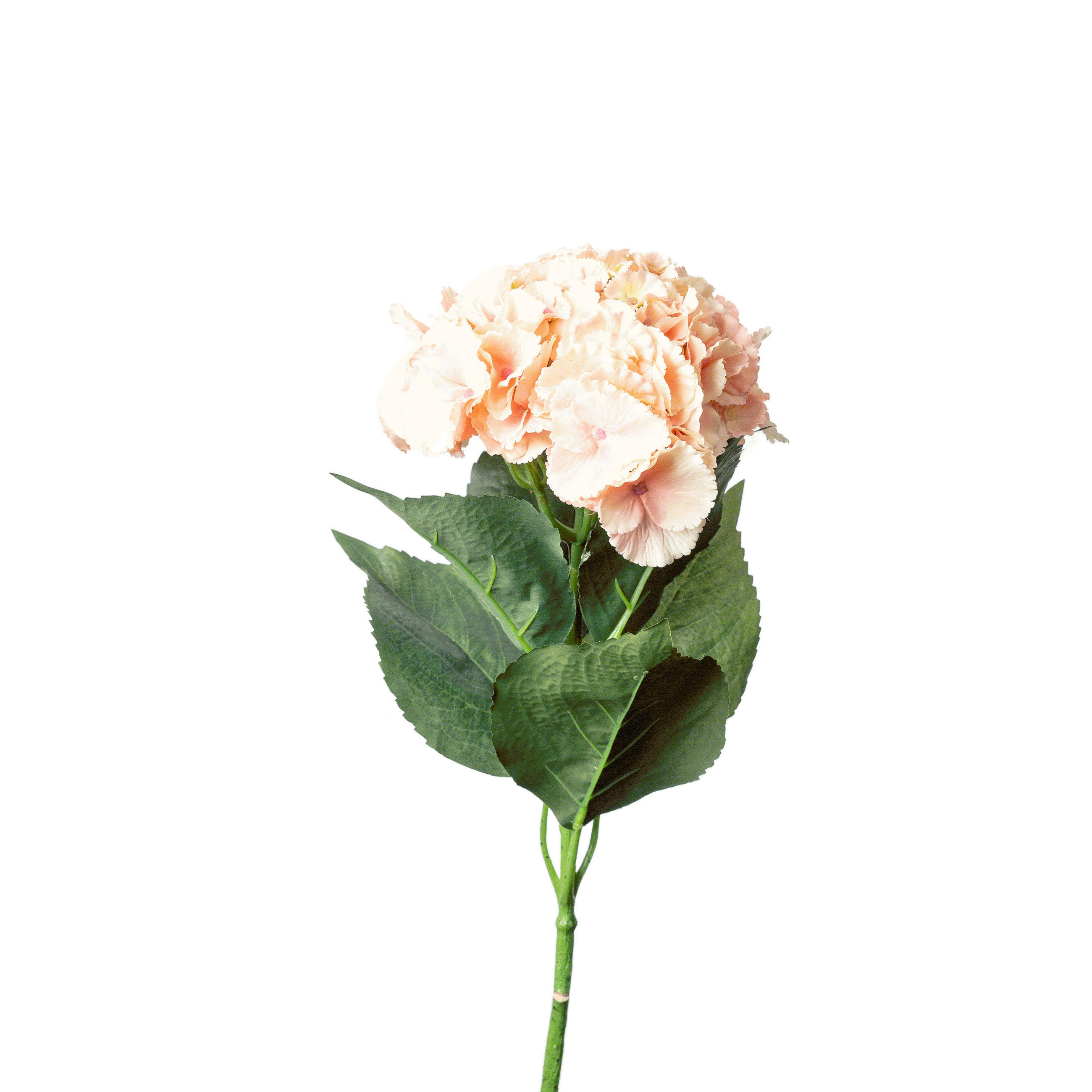 Hortensie - verde deschis/alb, Basics, plastic (70cm)