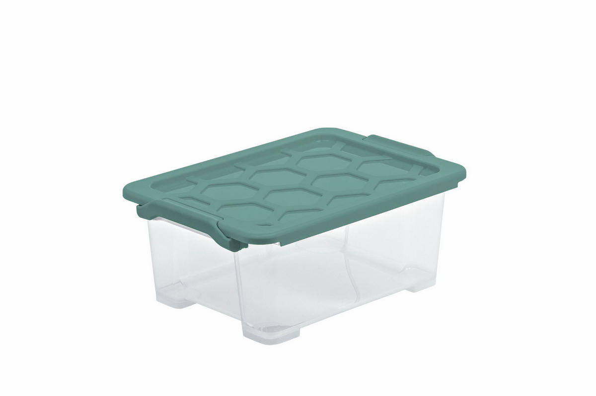 BOX     - Mintgrün, Basics, Kunststoff (28,3/16/39,3cm) - Rotho