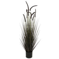 KUNSTPFLANZE  - Natur (15cm) - Ambia Home