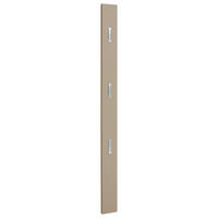 GARDEROBENPANEEL  in 14/170/3 cm  - Sandfarben, Design, Holzwerkstoff (14/170/3cm) - Novel