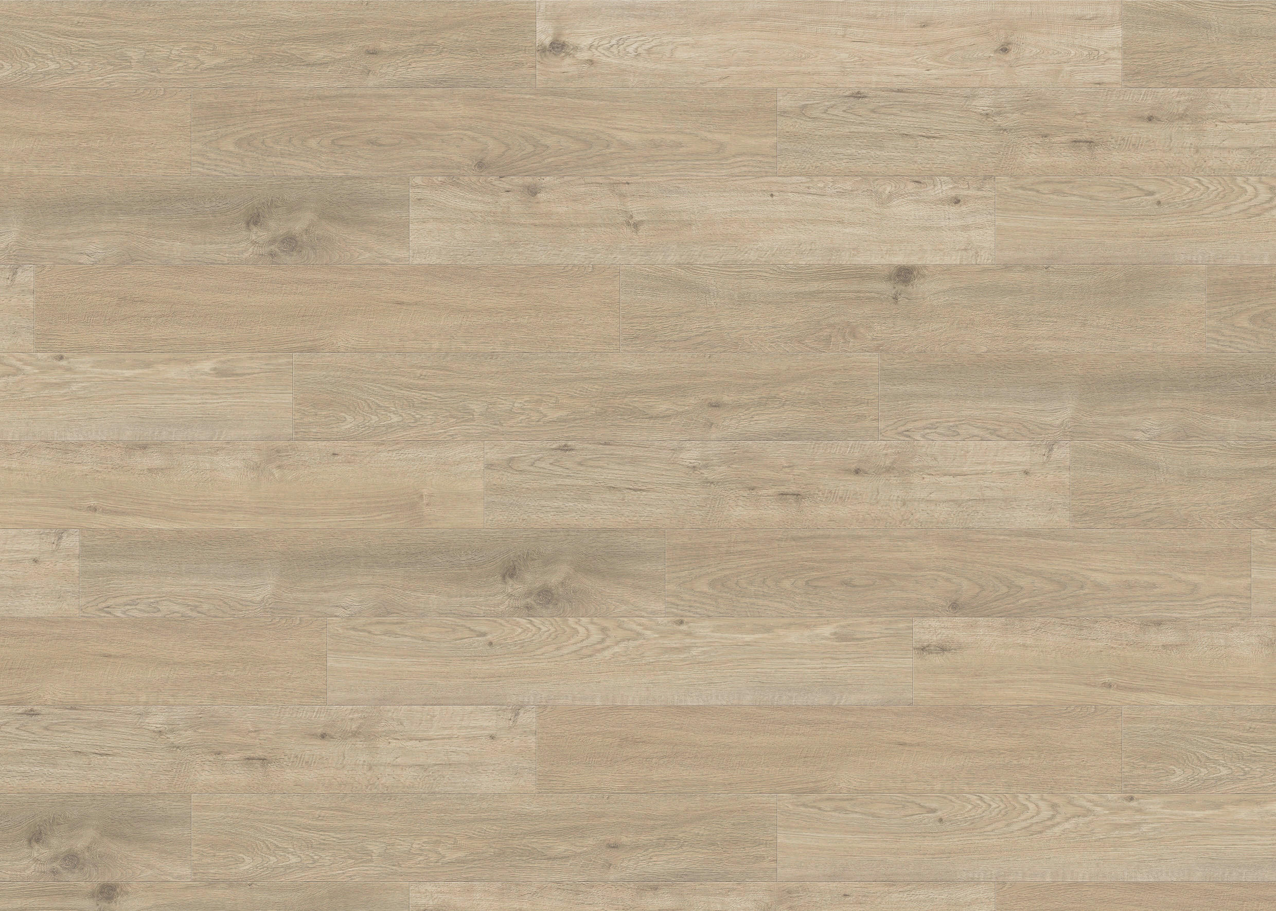 DESIGNBODEN PowerStar Eiche Castilla kieselgrau  per  m² - Eichefarben, Basics, Holzwerkstoff (19.3/128.2cm) - Living by HARO