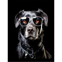 BILD  - Multicolor, Basics, Textil (30/40/1.5cm)