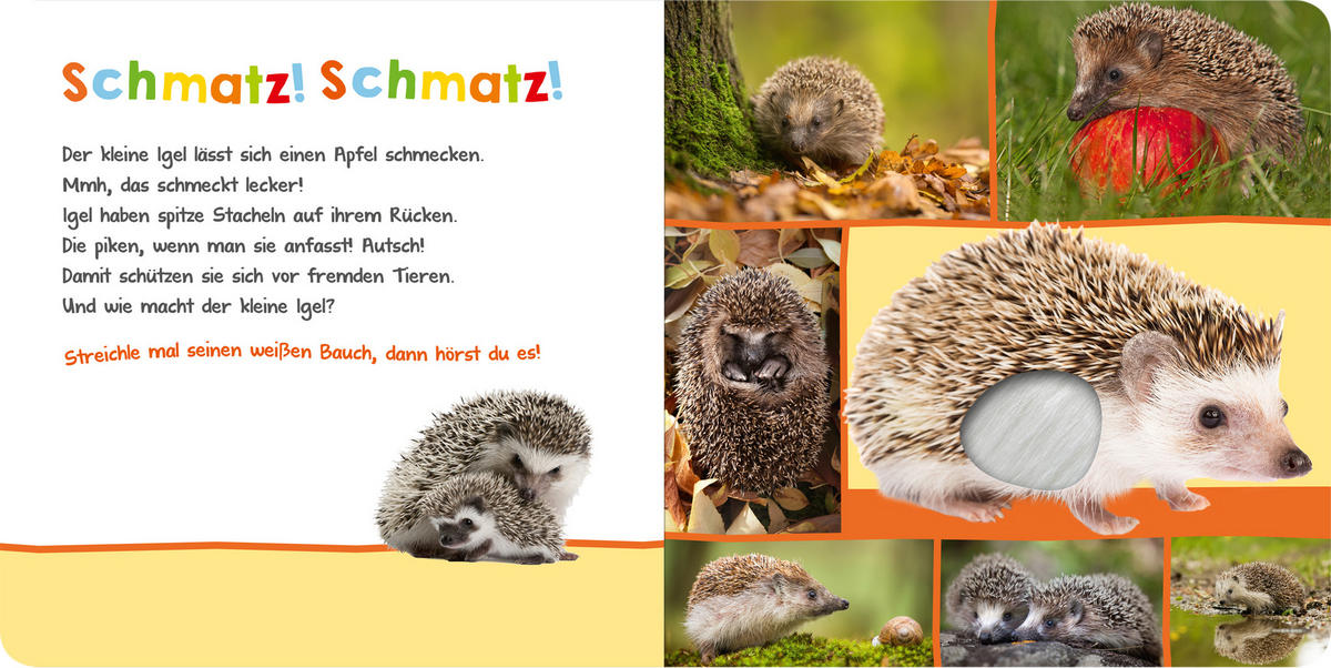 SOUNDBUCH - Basics (19,6/19,6cm)