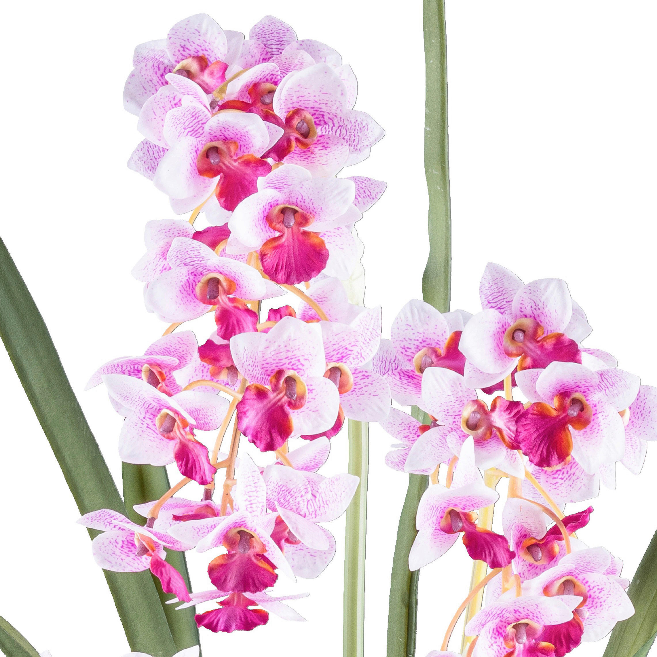 KUNSTPFLANZE Orchidee 80 cm  - Schwarz/Rosa, Design, Kunststoff (80cm) - P & B
