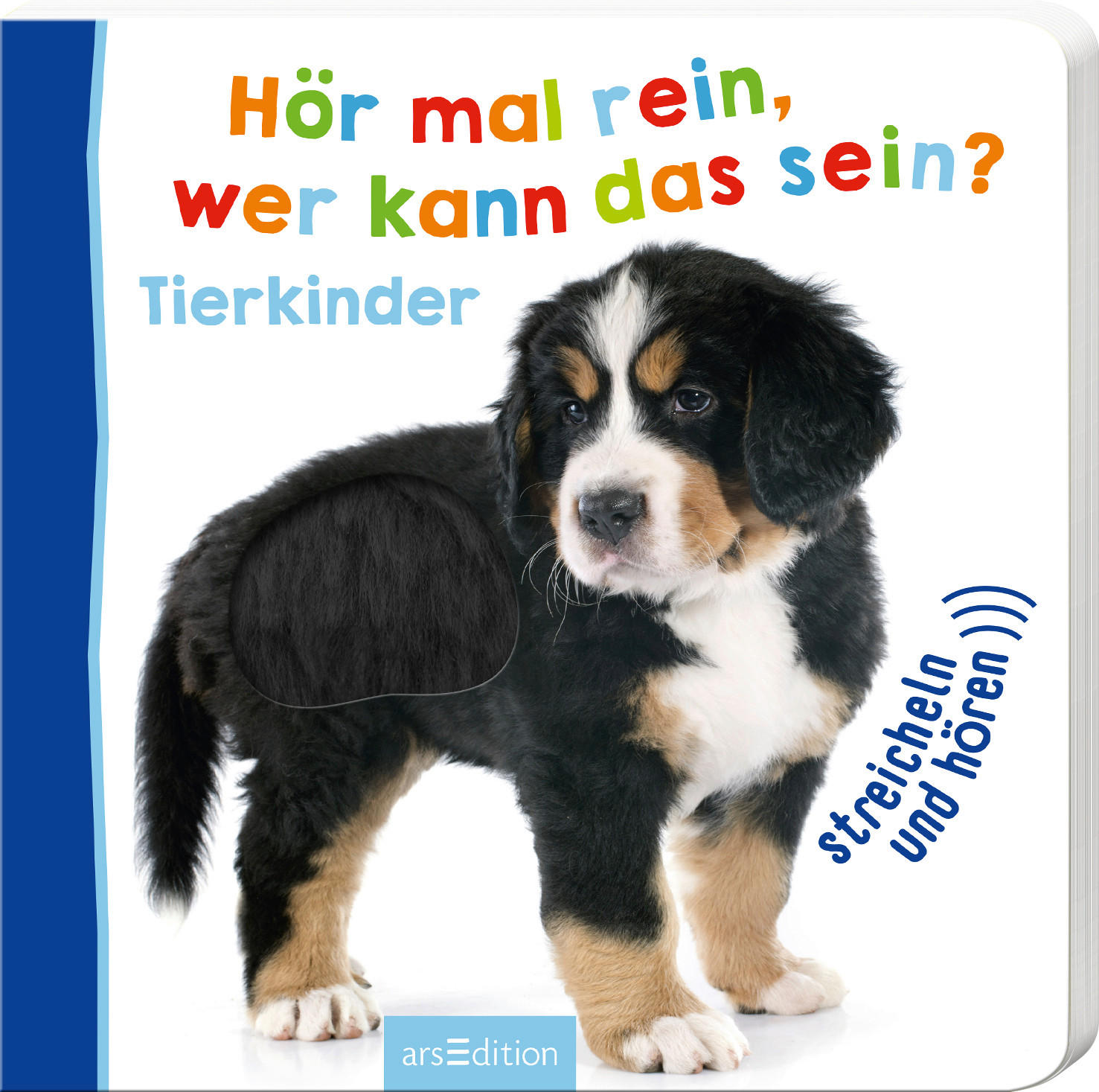 BUCH - Basics, Naturmaterialien (20/20/2cm)