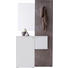 GARDEROBE - Weiß/Grau, Design, Glas/Holzwerkstoff (110/205/40cm) - Carryhome GARDEROBE - Weiß/Grau, Design, Glas/Holzwerkstoff (110/205/40cm) - Carryhome
