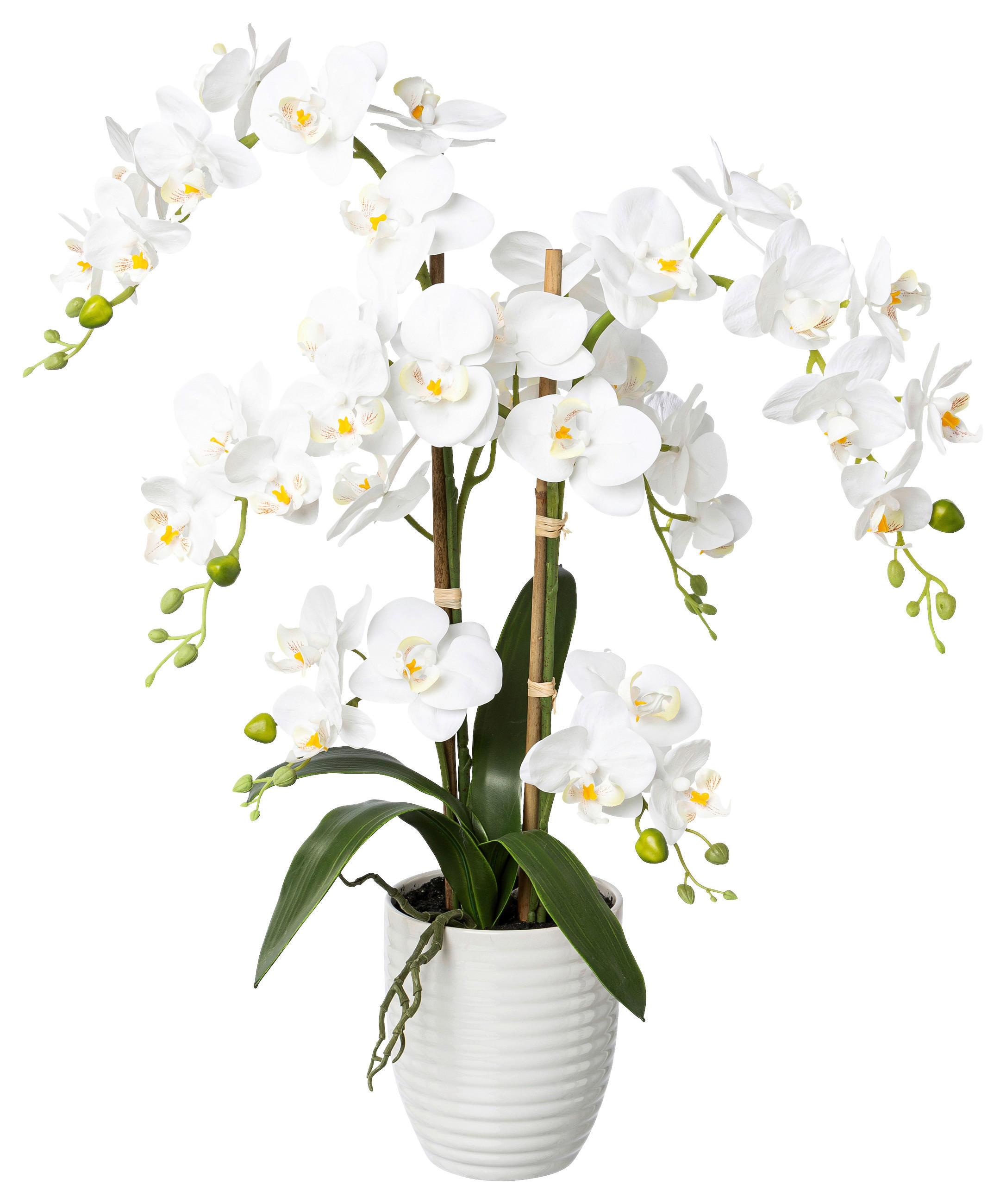 KUNSTPFLANZE Orchidee 67 cm  - Weiß/Grün, Design, Keramik/Kunststoff (67cm) - P & B