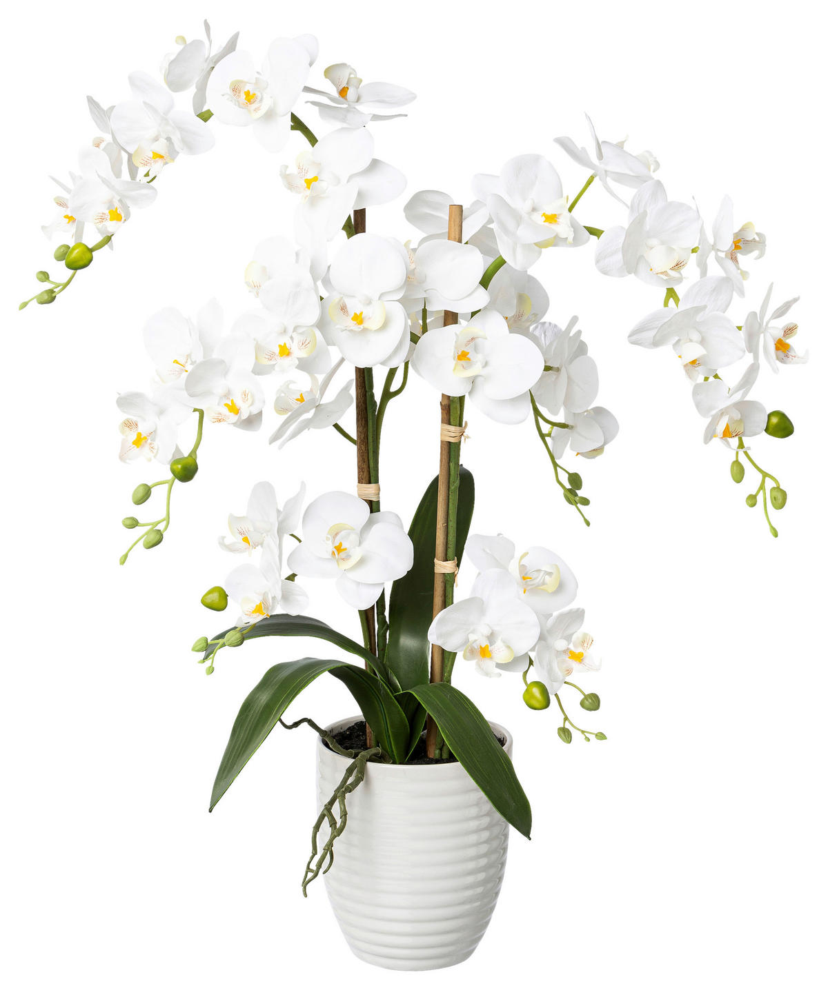 KUNSTPFLANZE Orchidee 67 cm  - Weiß/Grün, Design, Keramik/Kunststoff (67cm) - P & B