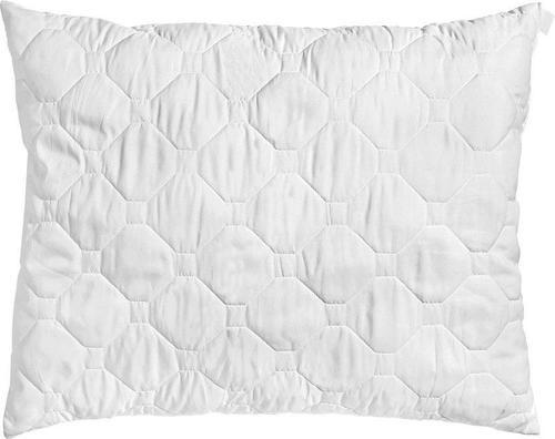 POLŠTÁŘ, 70/90 cm - Konvenční, textil (70/90cm) - Boxxx