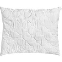 POLŠTÁŘ, 70/90 cm - Konvenční, textil (70/90cm) - Boxxx