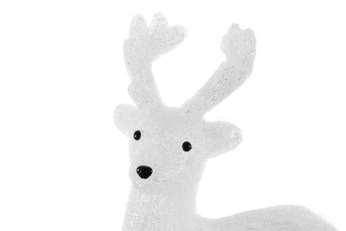 DEKORATIONSREN  - transparent, Lifestyle, plast (32/13/32cm) - X-Mas
