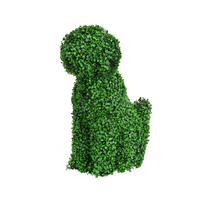 Cimișir - Basics (50,00/27,00/60,00cm)