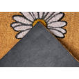 KOKOSMATTE 45/75 cm Mix Mats  - Hellbraun/Multicolor, Basics, Naturmaterialien/Kunststoff (45/75cm) - Esposa