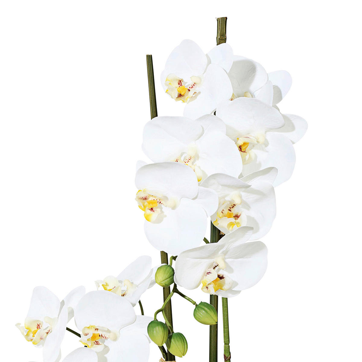 KUNSTPFLANZE Orchidee 50 cm  - Weiß/Grün, Design, Keramik/Kunststoff (50cm)
