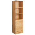 AKTENSCHRANK 55/197/40 cm  - Eichefarben/Anthrazit, Natur, Holz/Holzwerkstoff (55/197/40cm) - Linea Natura