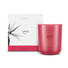 KERZE IM GLAS - Pink, Basics, Glas (11,5/11,5/12cm) - Ipuro KERZE IM GLAS - Pink, Basics, Glas (11,5/11,5/12cm) - Ipuro