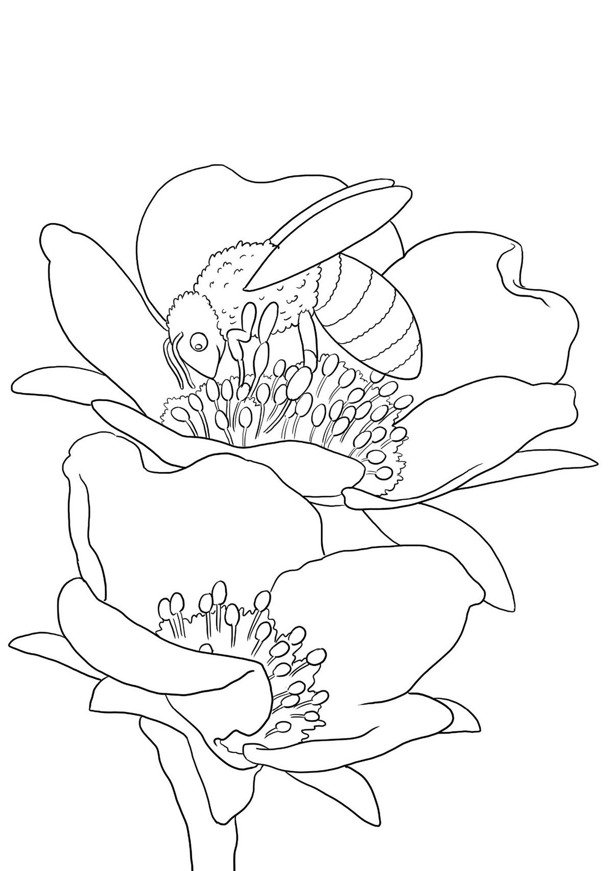 BUCH  - Multicolor, Basics, Papier (14,8/21/1cm) - Carlsen