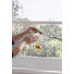 FENSTERBILD - Basics, Kunststoff (31/31cm)