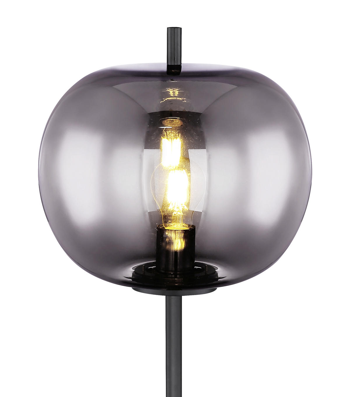 STOJEČA SVETILKA  Blacky      30/160 cm       - črna/siva, Design, kovina/steklo (30/160cm) - Globo