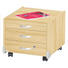 CONTAINER Birke furniert, Schichtholz Birkefarben - Birkefarben/Silberfarben, Design, Holz/Kunststoff (38,2/27,1/44,5cm) - Paidi CONTAINER Birke furniert, Schichtholz Birkefarben - Birkefarben/Silberfarben, Design, Holz/Kunststoff (38,2/27,1/44,5cm) - Paidi
