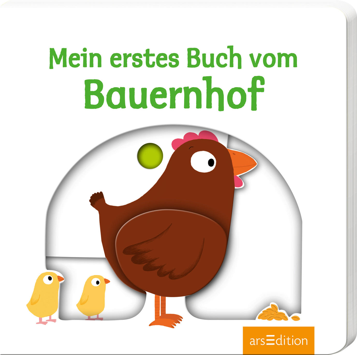 BILDERBUCH  - Multicolor, Basics, Papier (16,8/17,8/1,8cm) - Carlsen