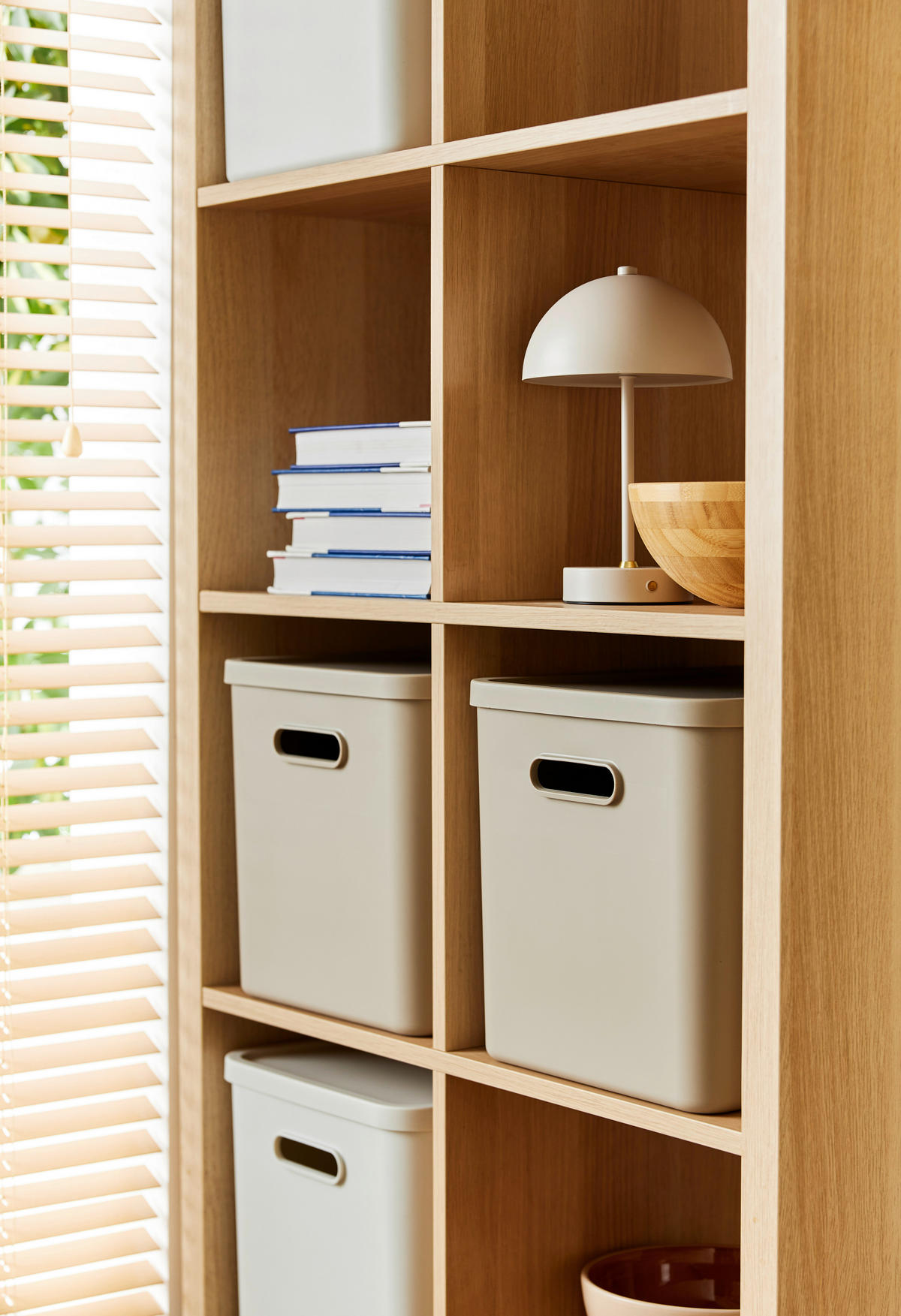 AUFBEWAHRUNGSBOX Albula  - Cappuccino, KONVENTIONELL, Kunststoff (37/29/29.5cm) - Rotho