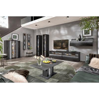 PAROI MURALE  in Anthrazit 308/151/49 cm  - Anthrazit/Schwarz, Design, Glas/Holz (308/151/49cm) - Johann Jakob