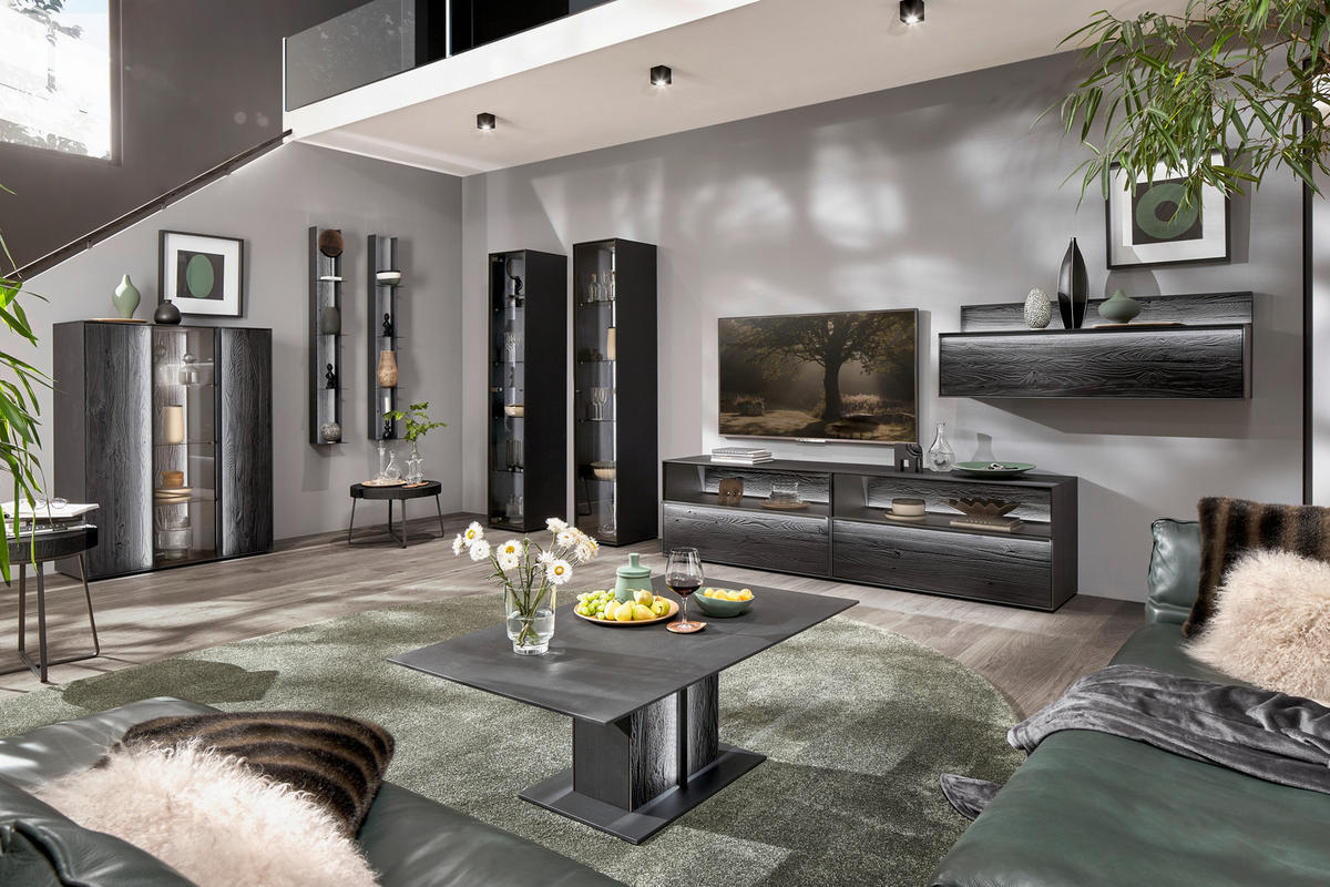 PAROI MURALE  in Anthrazit 308/151/49 cm  - Anthrazit/Schwarz, Design, Glas/Holz (308/151/49cm) - Johann Jakob