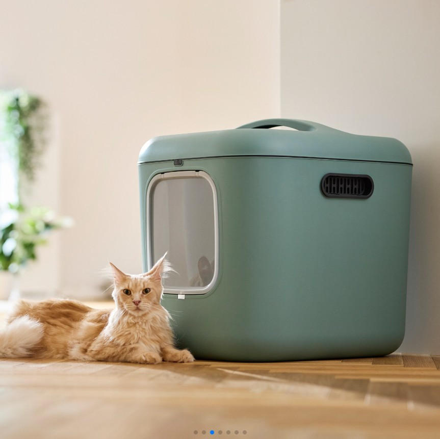 KATZENTOILETTE - Salbeigrün, Basics, Kunststoff (49,9/57,6/61,4cm) - Rotho