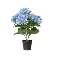 BILJKA DEKORATIVNA  - Basics (28/28/46cm)