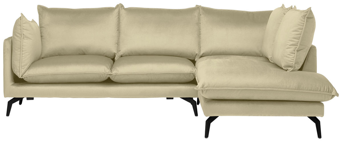 ECKSOFA in Samt Beige  - Beige/Schwarz, Design, Textil/Metall (241/200cm) - Carryhome